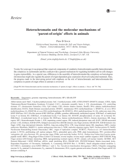 Heterochromatin and the molecular mechanisms of `parent-of