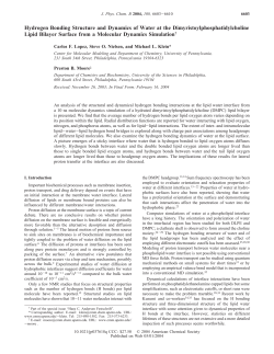 Hydrogen Bonding Structure and Dynamics of Water at the