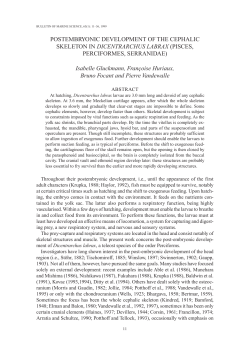 POSTEMBRYONIC DEVELOPMENT OF THE CEPHALIC