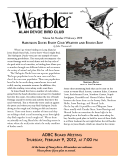 sample copy - Alan Devoe Bird Club