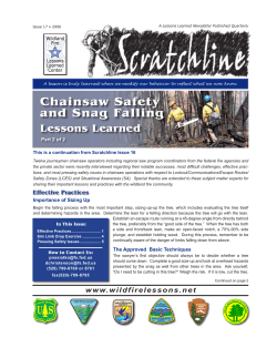 Chainsaw Safety and Snag Falling Lessons Learned