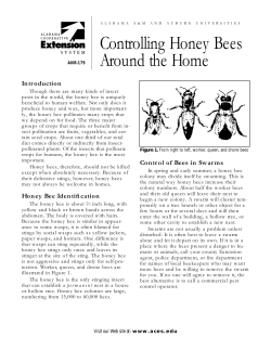 Controlling Honey Bees Around the Home