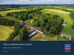 the landenstown estate