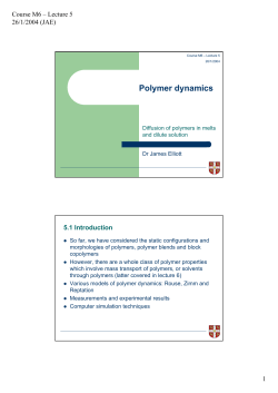Polymer dynamics