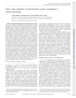 Nitric oxide regulation of mitochondrial oxygen - AJP-Cell