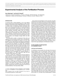 Experimental Analysis of the Fertilization Process