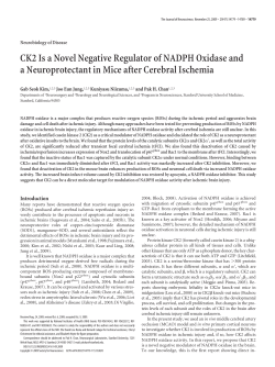 CK2 Is a Novel Negative Regulator of NADPH Oxidase and a