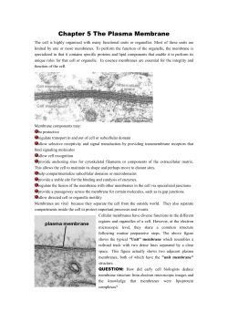 Chapter 5 The Plasma Membrane