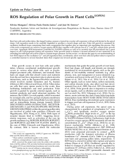 ROS Regulation of Polar Growth in Plant Cells1