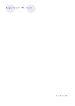 European Commission - HR.B.1 - Brussels Soon in Brussels 2013