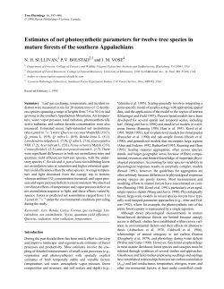 Net photosynthesis parameters for twelve tree