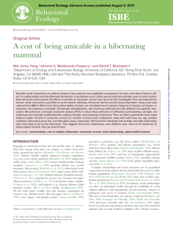 A cost of being amicable in a hibernating mammal