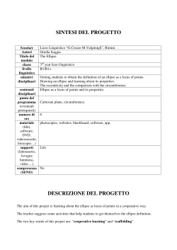 sintesi del progetto descrizione del progetto