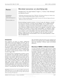 Microbial nanowires: an electrifying tale
