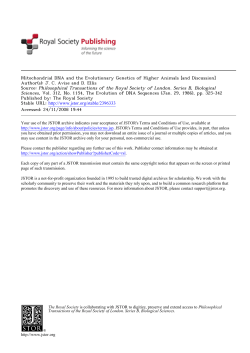 Mitochondrial DNA and the Evolutionary Genetics of Higher Animals