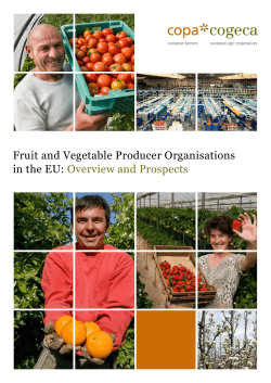 Fruit and Vegetable Producer Organisations in the EU - Copa