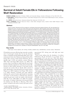 Survival of Adult Female Elk in Yellowstone Following Wolf