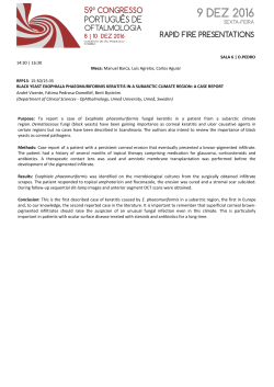 Manuel Barca, Lu&iacute;s Agrelos, Carlos Aguiar RFP13- 15