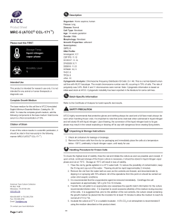 MRC5 (ATCC&reg; CCL171&trade;)