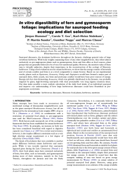 In vitro digestibility of fern and gymnosperm foliage: implications for
