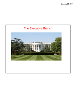 The Executive Branch