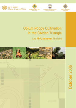 Opium Poppy cultivation in the Golden Triangle