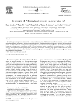 Expression of N-formylated proteins in Escherichia coli