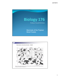 Mammals of the Tropical Moist Forests