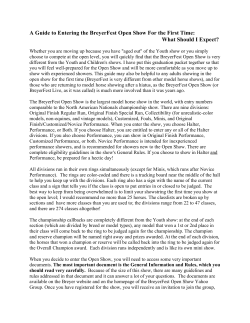 A First-Timers Guide to Showing at BreyerFest Open