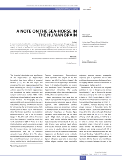 A NOTE ON THE SEA-HORSE IN THE HUMAN BRAIN
