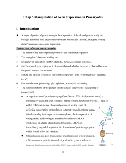 Chap5 Manipulation of Gene Expression in Prokaryotes