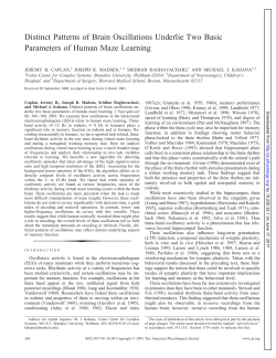 Distinct Patterns of Brain Oscillations Underlie Two Basic