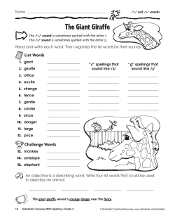 The Giant Giraffe