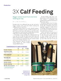 3X Calf Feeding - Land O`Lakes Milk Replacer