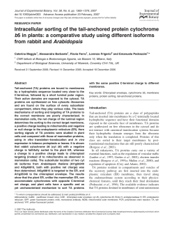 Intracellular sorting of the tail-anchored protein cytochrome b5 in