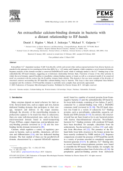 An extracellular calcium-binding domain in bacteria with a distant