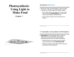 Photosynthesis: Using Light to Make Food