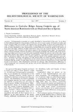 Differences in Cuticular Ridges Among Cooperia spp. of