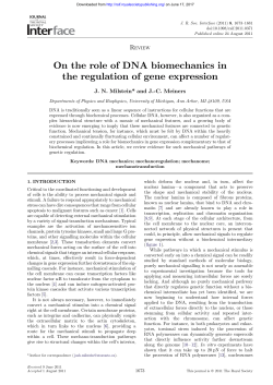 On the role of DNA biomechanics in the regulation of gene expression