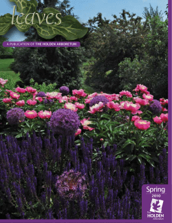 Spring - The Holden Arboretum