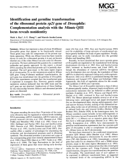 Identification and germ line transformation of the ribosomal protein