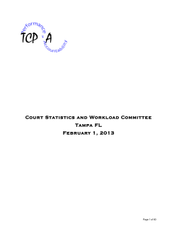 February 1, 2013 Meeting Materials