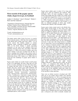 First records of the pygmy sperm whale, Kogia breviceps, in Scotland