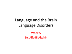4. Language and the Brain 13