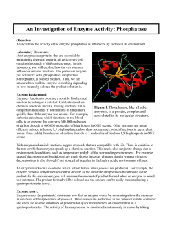 An Investigation of Enzyme Activity: Phosphatase