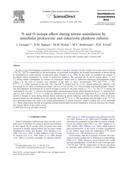 N and O isotope effects during nitrate assimilation by unicellular