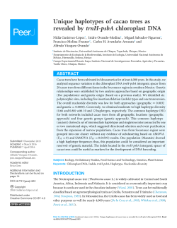 Unique haplotypes of cacao trees as revealed by trnH-psbA