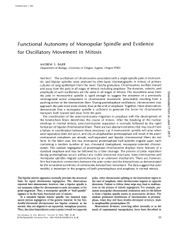 Functional Autonomy of Monopolar Spindle and Evidence for