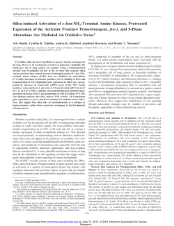 Silica-induced Activation of c-Jun-NH2-Terminal