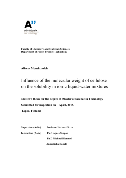 Influence of the molecular weight of cellulose on the